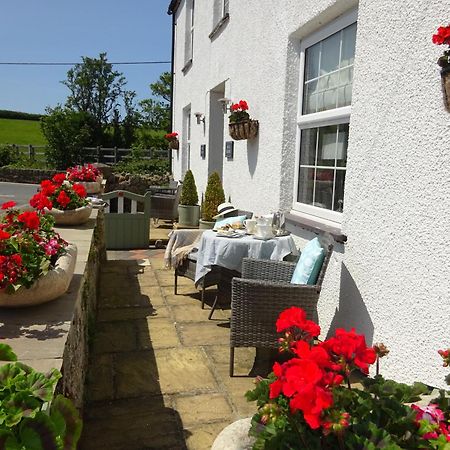 Yr Hen Felin - The Old Mill B&B มอร์ฟาเนฟิน ภายนอก รูปภาพ