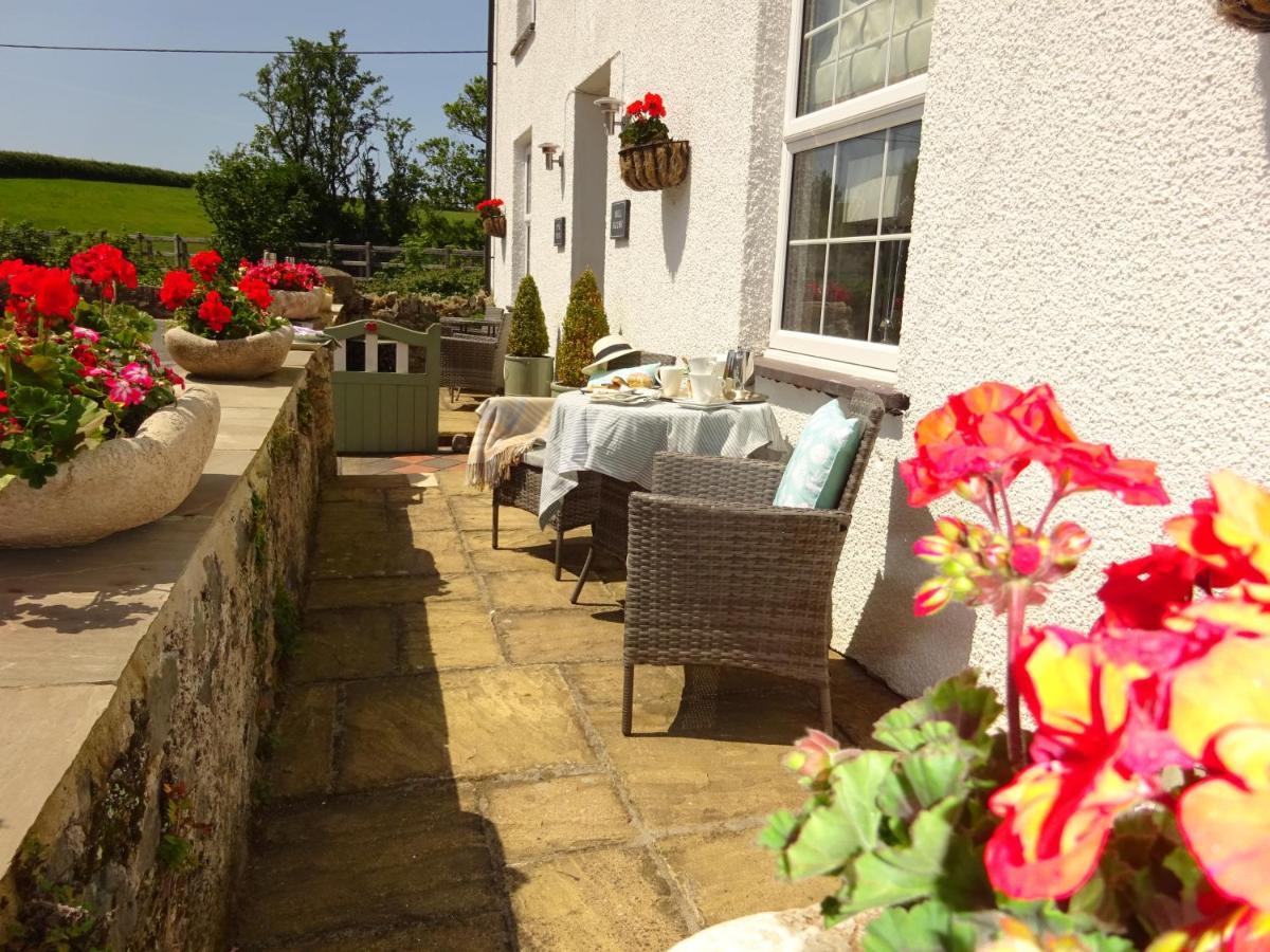 Yr Hen Felin - The Old Mill B&B มอร์ฟาเนฟิน ภายนอก รูปภาพ