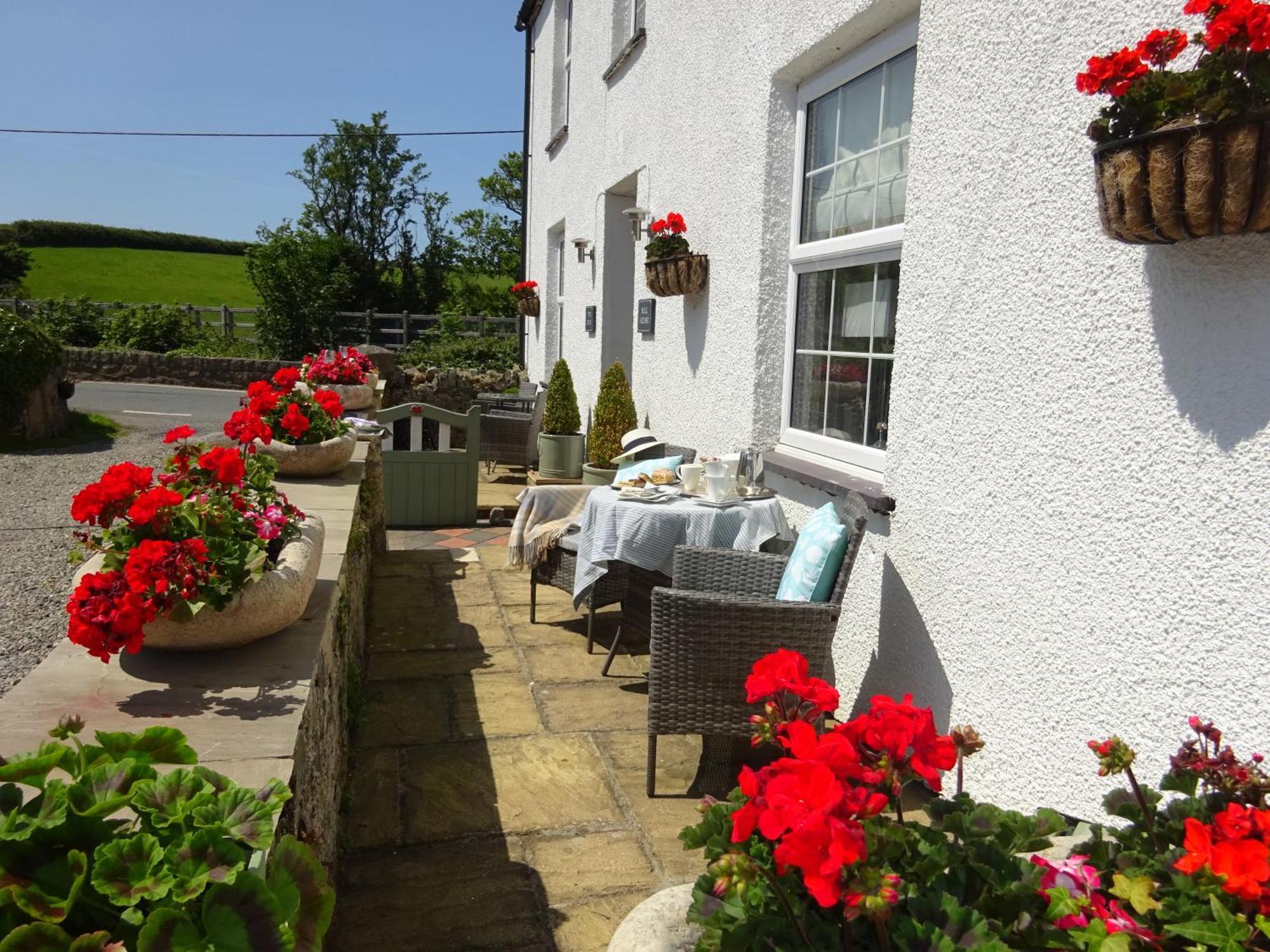 Yr Hen Felin - The Old Mill B&B มอร์ฟาเนฟิน ภายนอก รูปภาพ