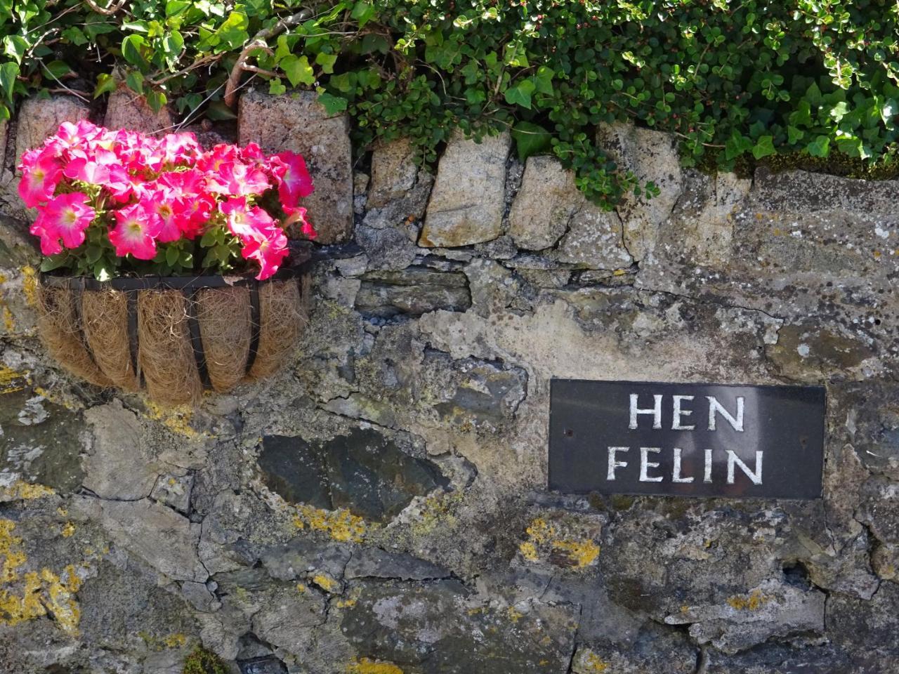 Yr Hen Felin - The Old Mill B&B มอร์ฟาเนฟิน ภายนอก รูปภาพ